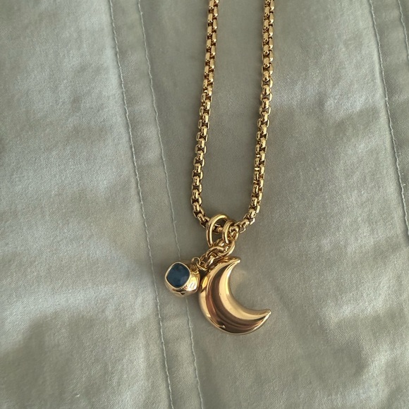 Roxanne Assoulin Gold Moon Pendant Necklace with Blue Accent - Picture 2 of 4